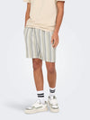 Trev Life Stripe Short - Only & Sons