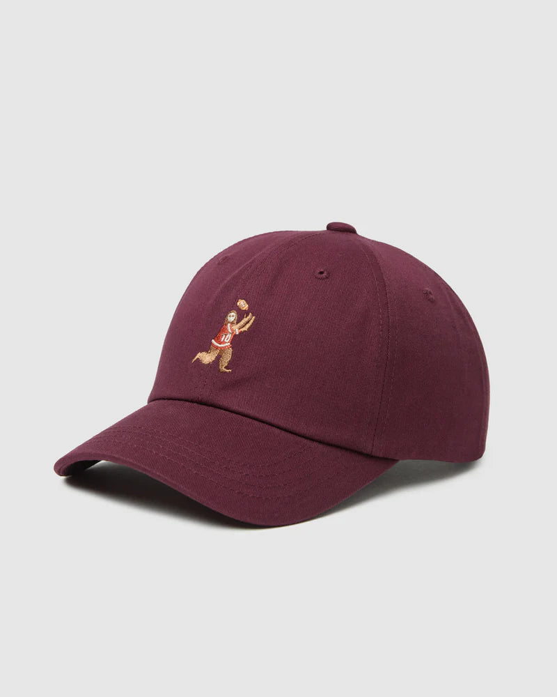 Sasquatch Peak Hat - Ten Tree
