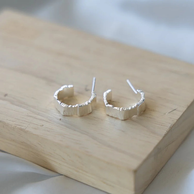 Novera Hoop Earring - Glee