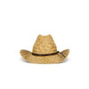 Houston II Straw Cowboy Hat - Brixton
