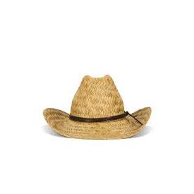 Houston II Straw Cowboy Hat - Brixton