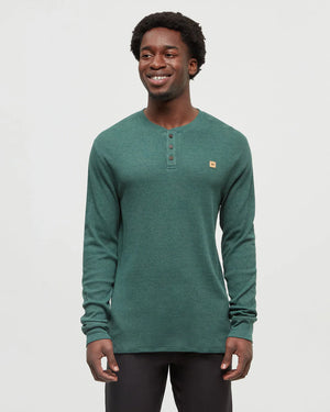 Freemont Henley - Ten Tree
