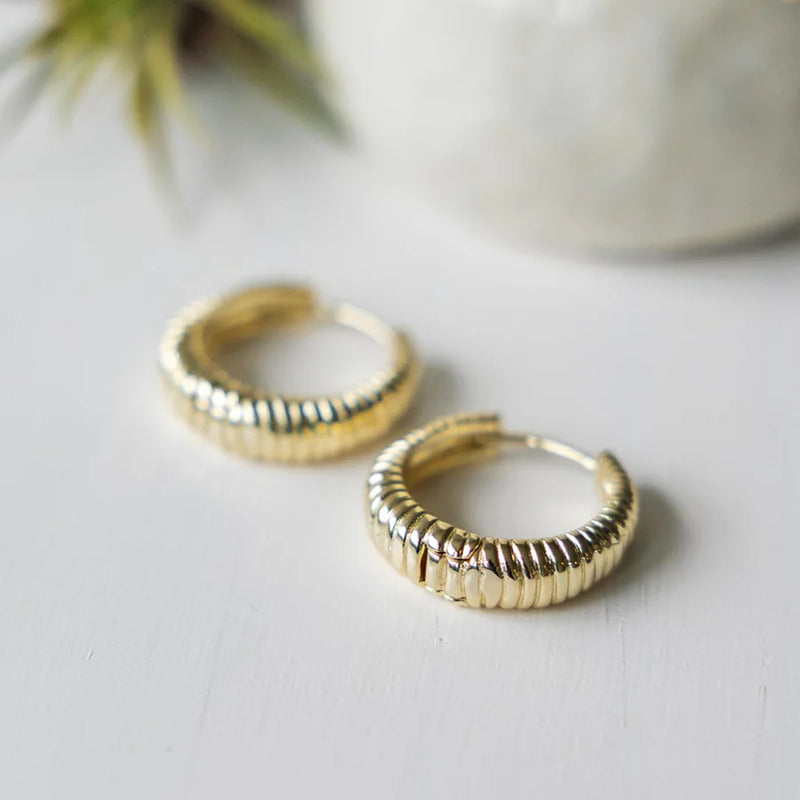 Chasm Hoop Earring - Glee