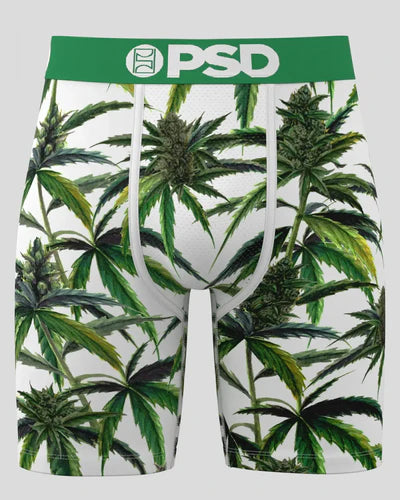 Buds & Bloom Boxer - PSD