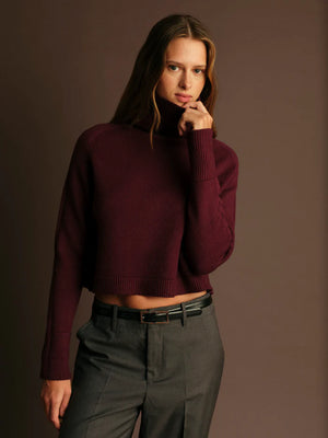 Pugliese Turtleneck Sweater - Deluc