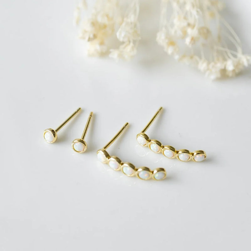 Duet Set Opal Row Earring - Glee