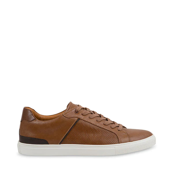 Colvert Sneaker Steve Madden